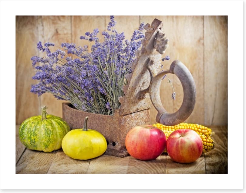 Lavender harvest