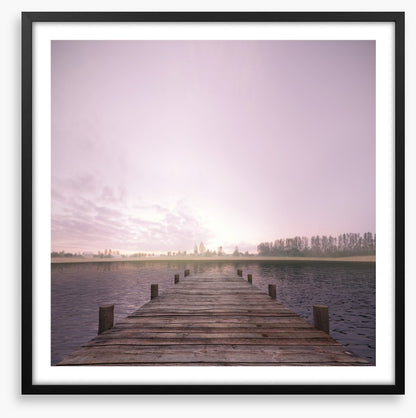 Lonesome on the lake
