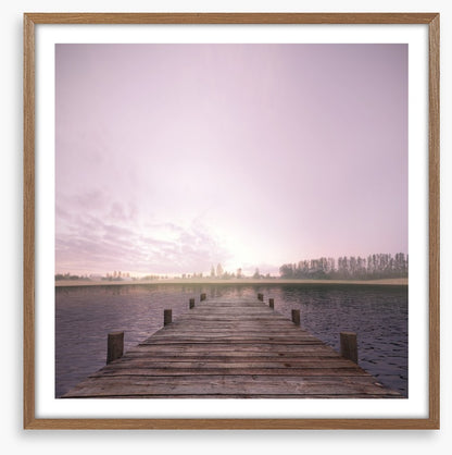 Lonesome on the lake