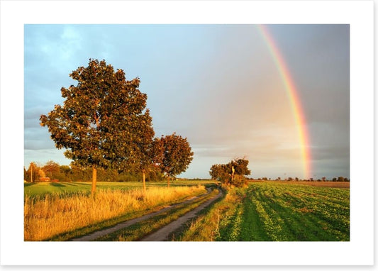 Rainbow glow