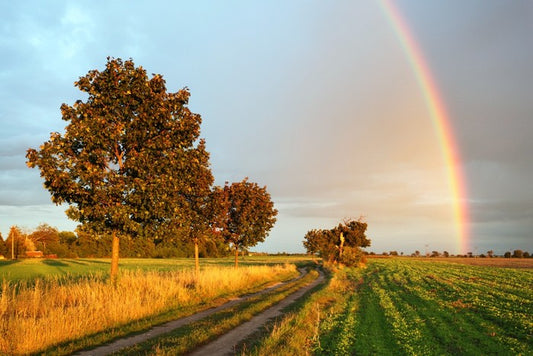 Rainbow glow