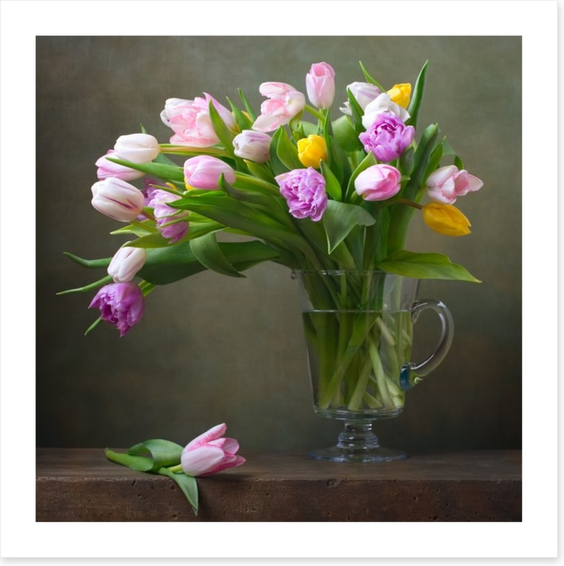 Still Life
