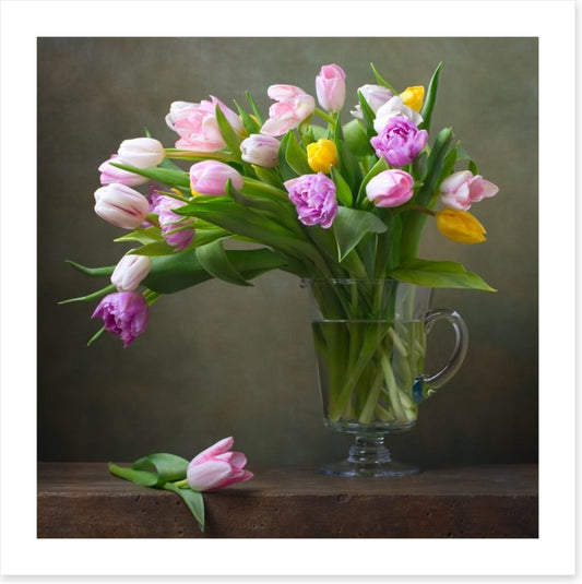 Still Life