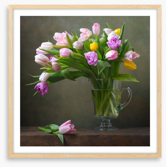 Still Life