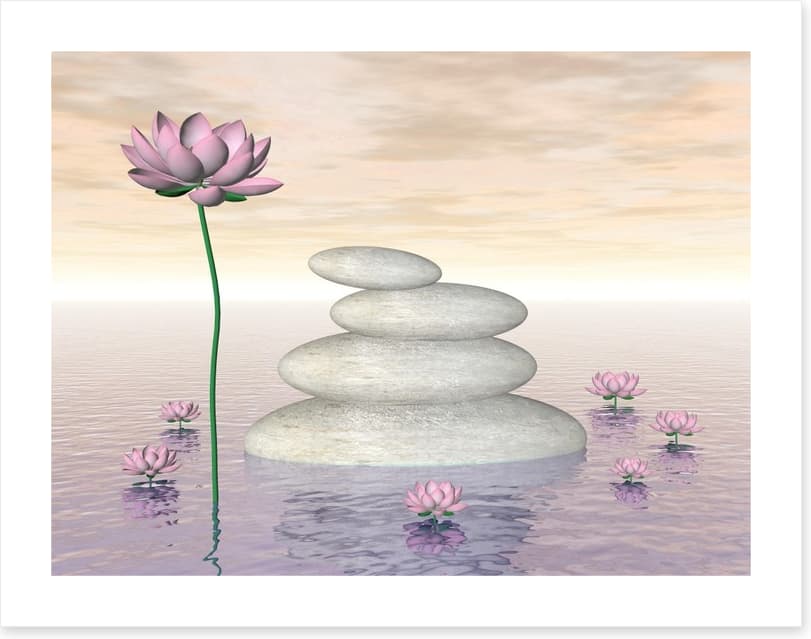 Pink lily zen