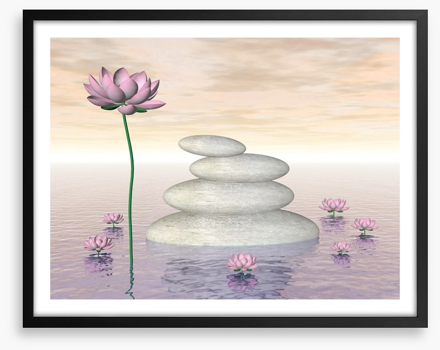 Pink lily zen