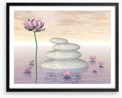 Pink lily zen