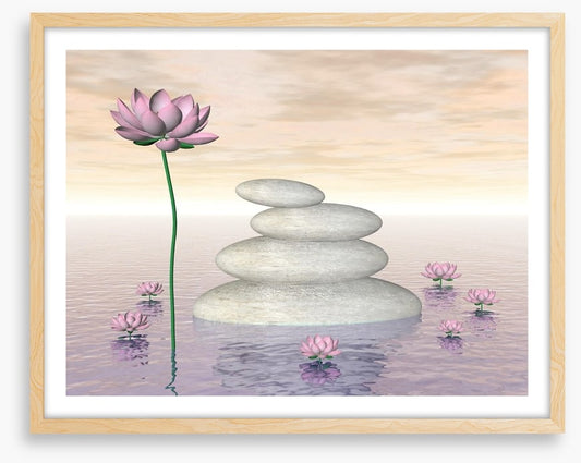 Pink lily zen