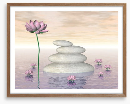 Pink lily zen