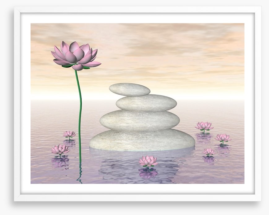 Pink lily zen