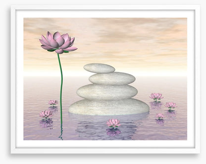 Pink lily zen