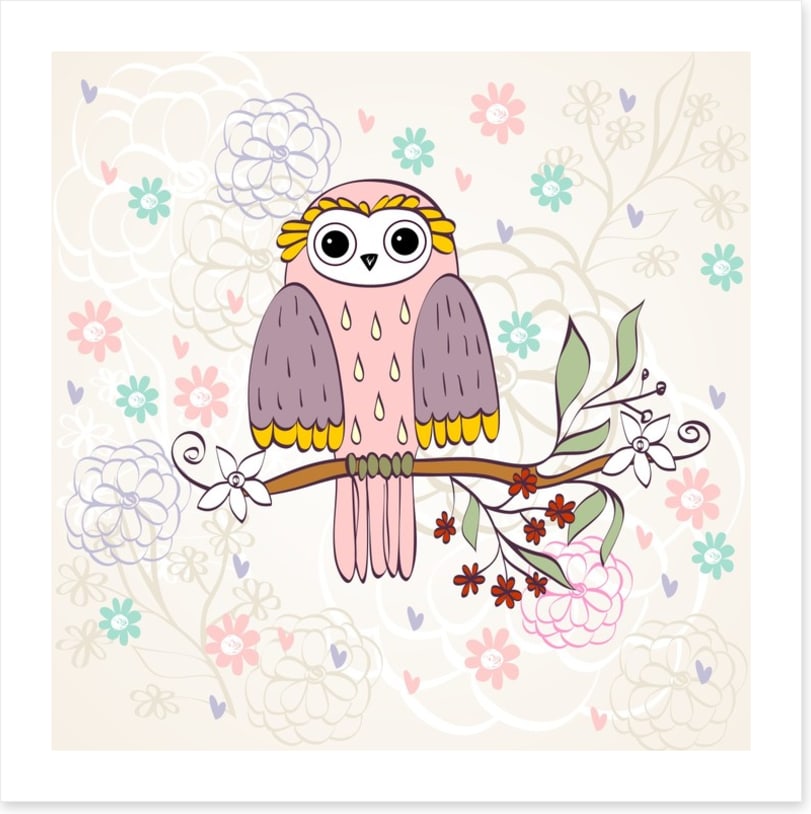 Owls