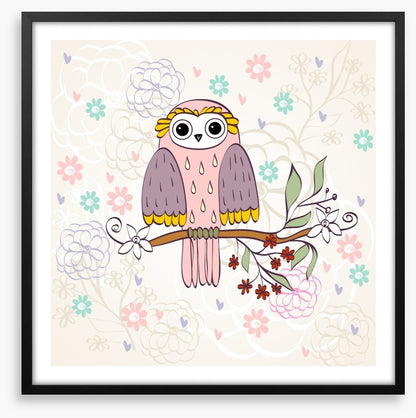 Owls