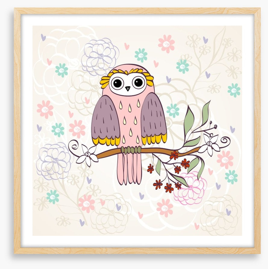 Owls