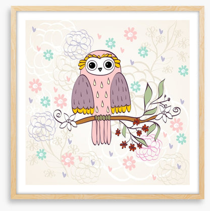 Owls