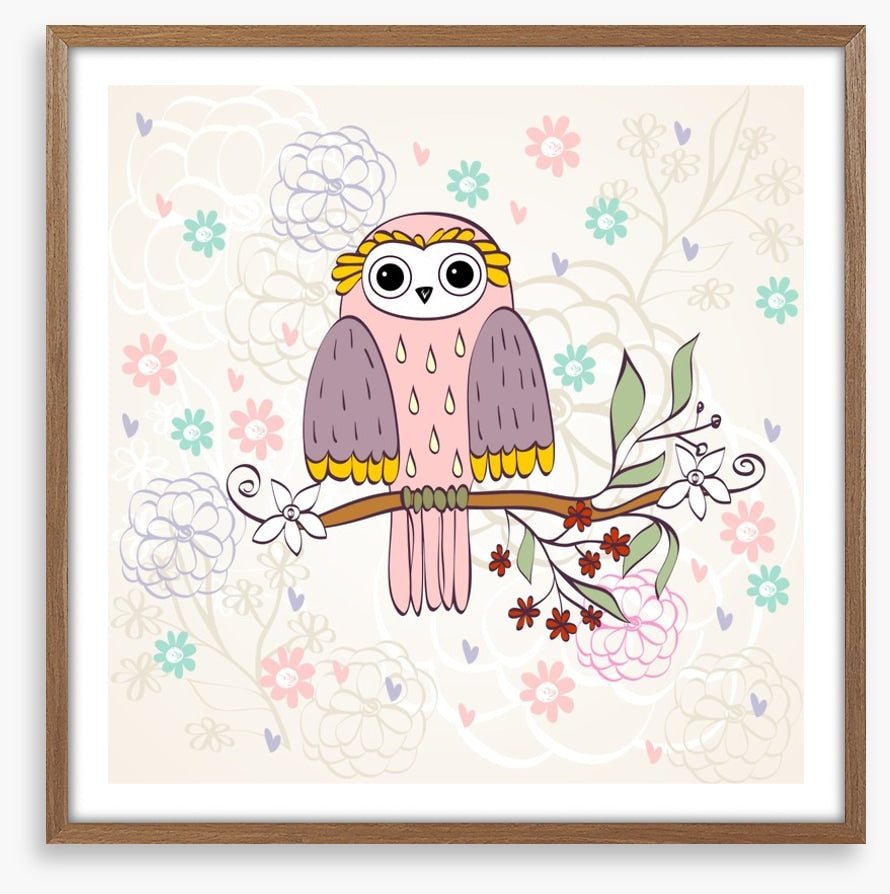 Owls