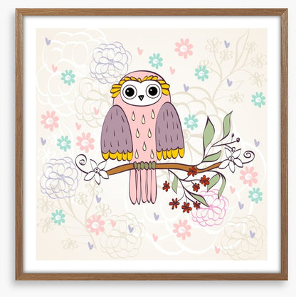 Owls