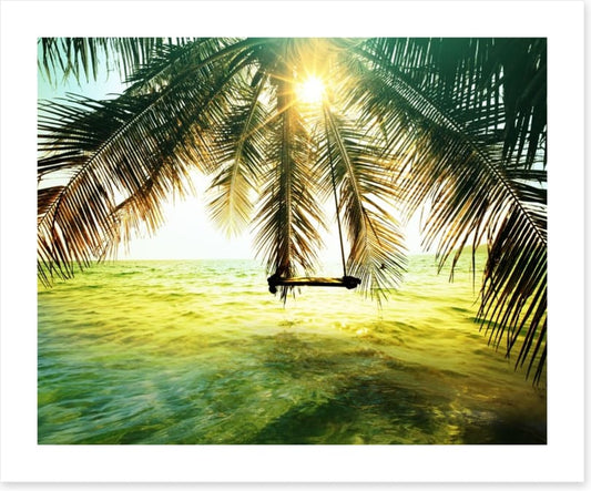 Palm tree swing