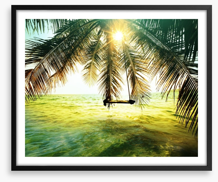 Palm tree swing