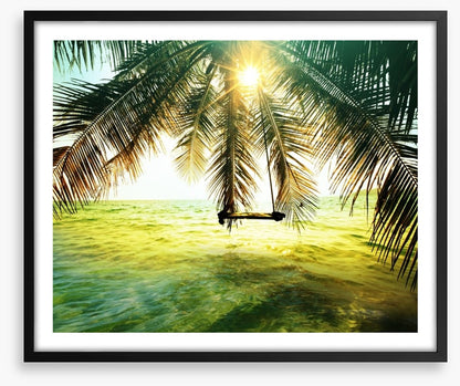 Palm tree swing