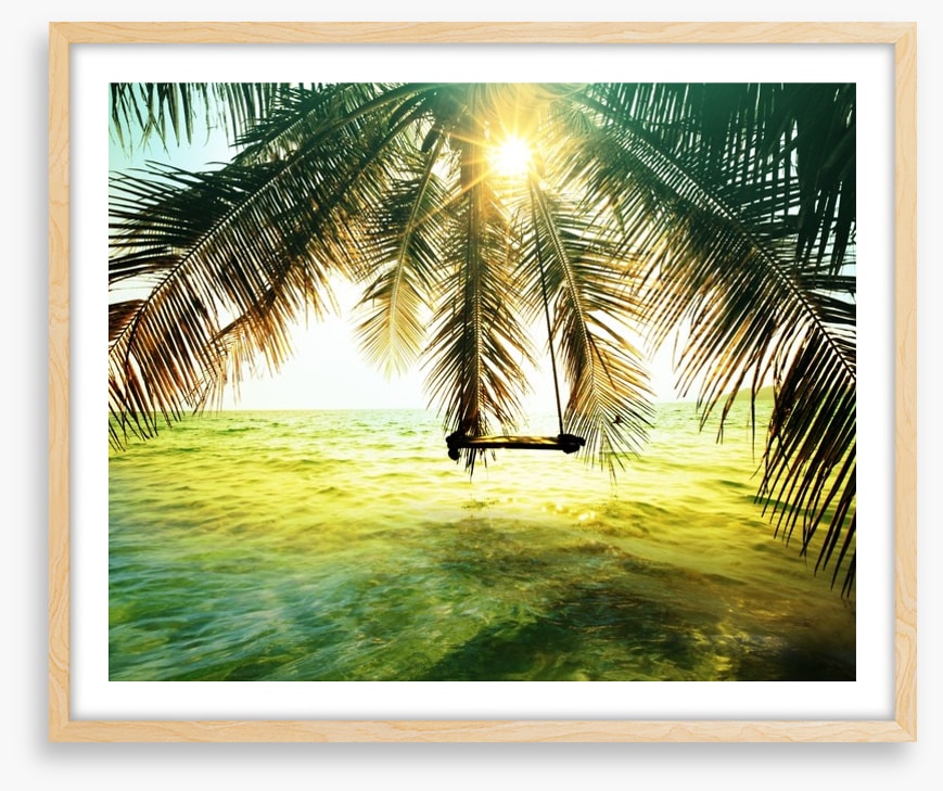 Palm tree swing