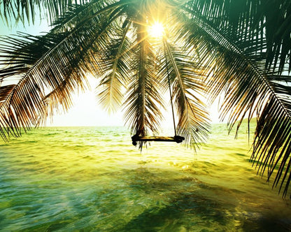 Palm tree swing