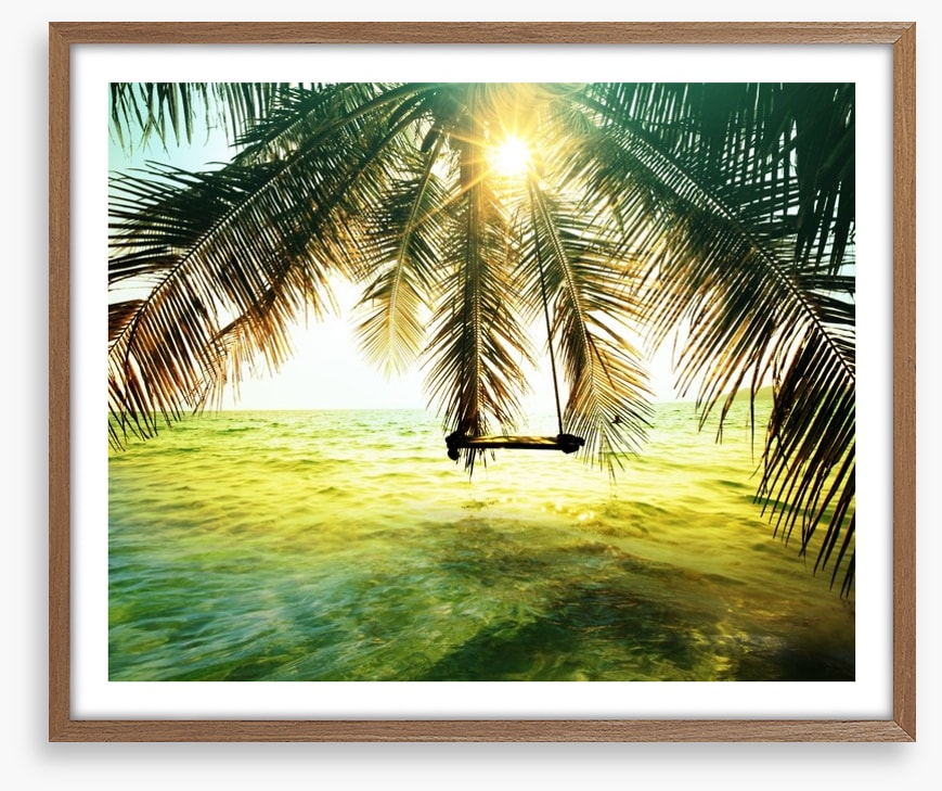 Palm tree swing