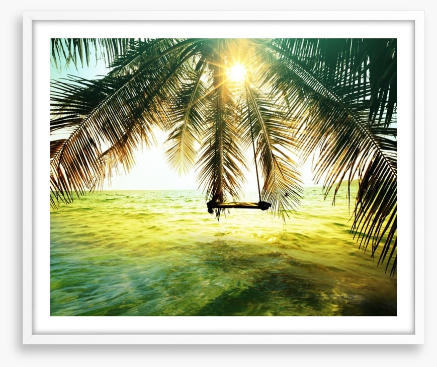 Palm tree swing
