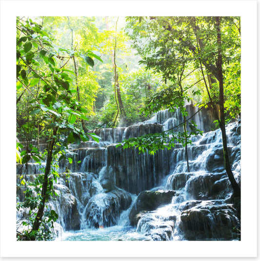 Lush jungle falls