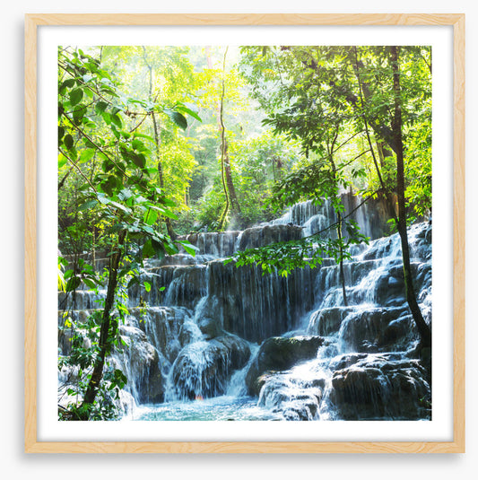 Lush jungle falls