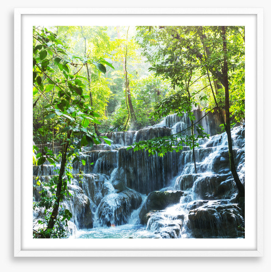 Lush jungle falls