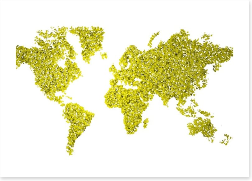 Maps