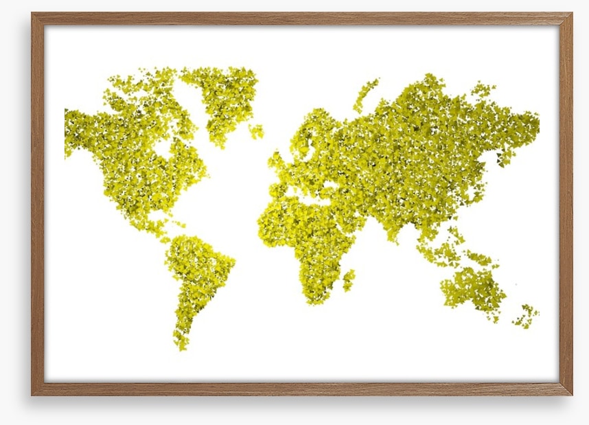 Maps
