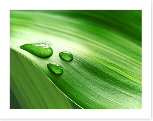 Droplets