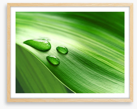 Droplets