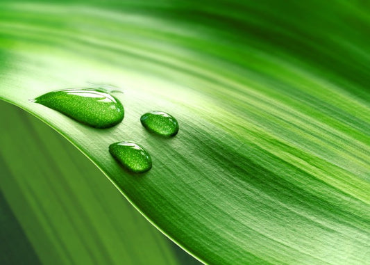 Droplets