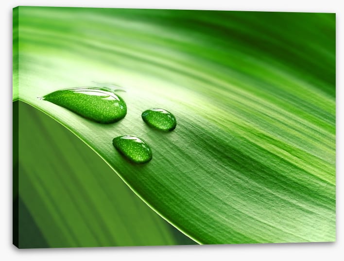 Droplets