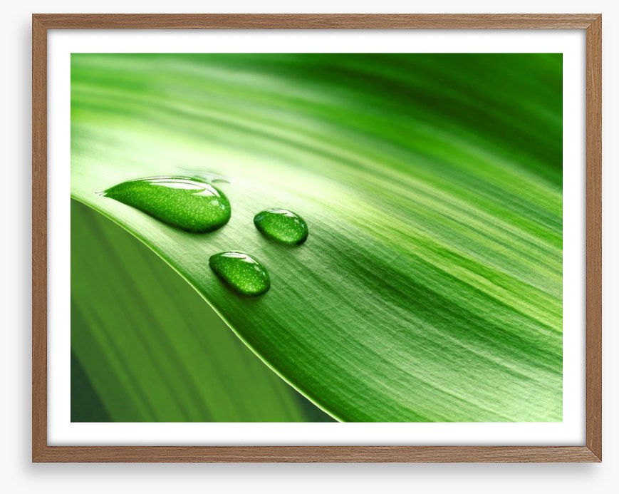 Droplets