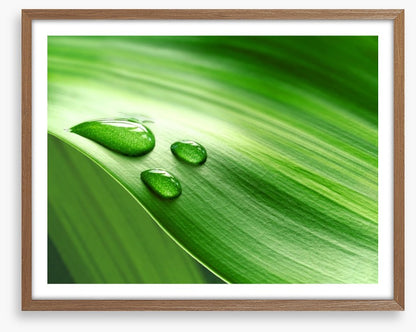 Droplets