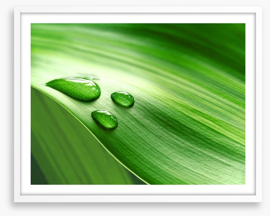 Droplets