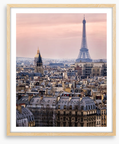 The rooftops of Paris