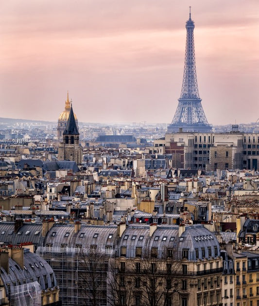 The rooftops of Paris