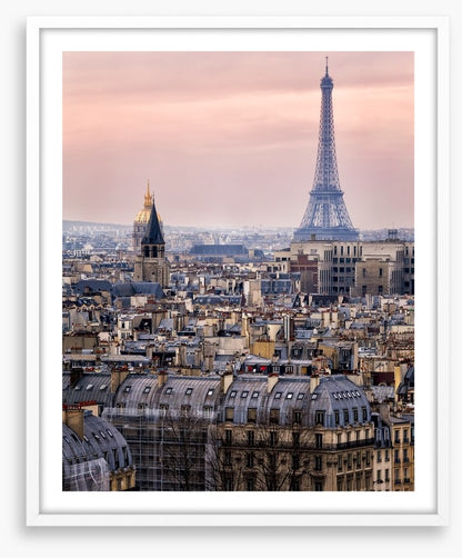 The rooftops of Paris