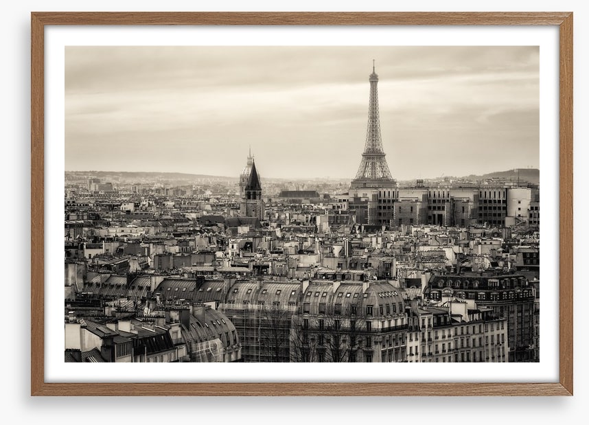 The rooftops of Paris