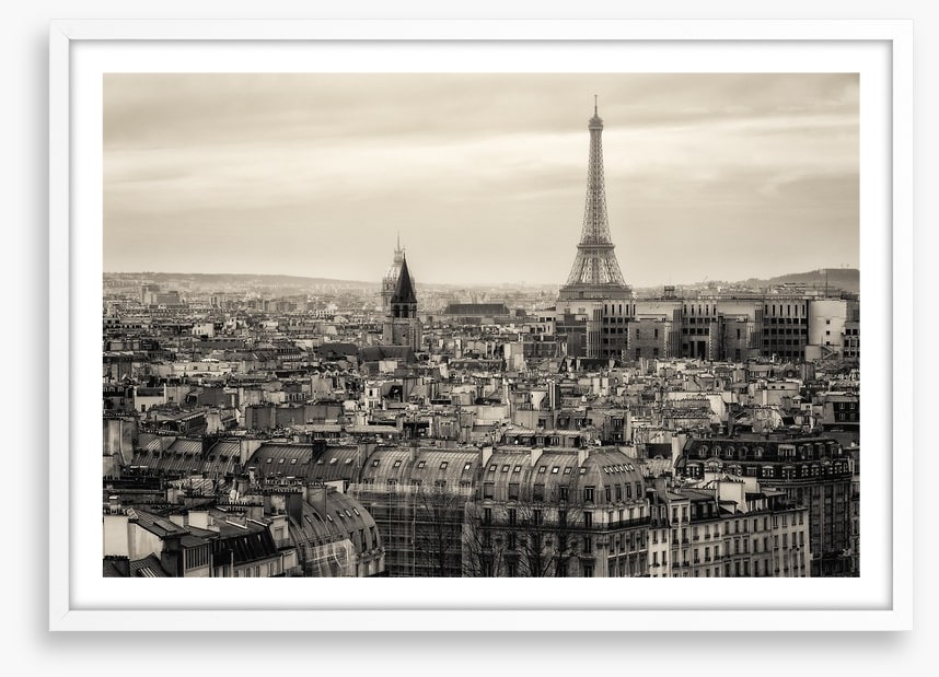 The rooftops of Paris