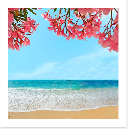 Oleanders on the beach