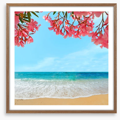 Oleanders on the beach