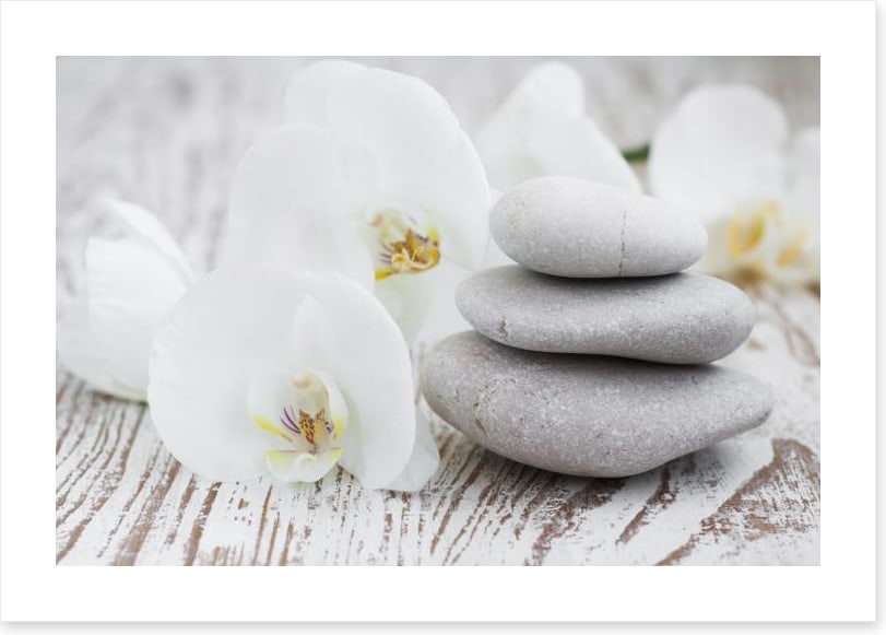 Purity