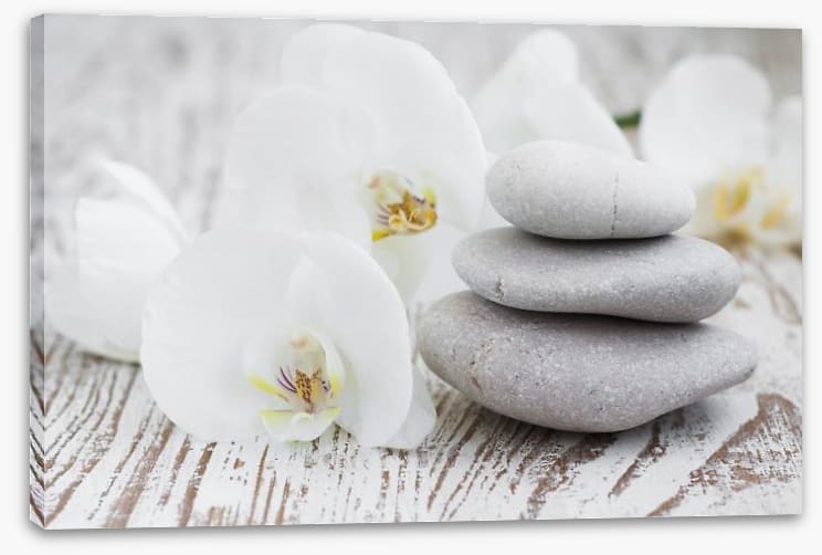 Purity