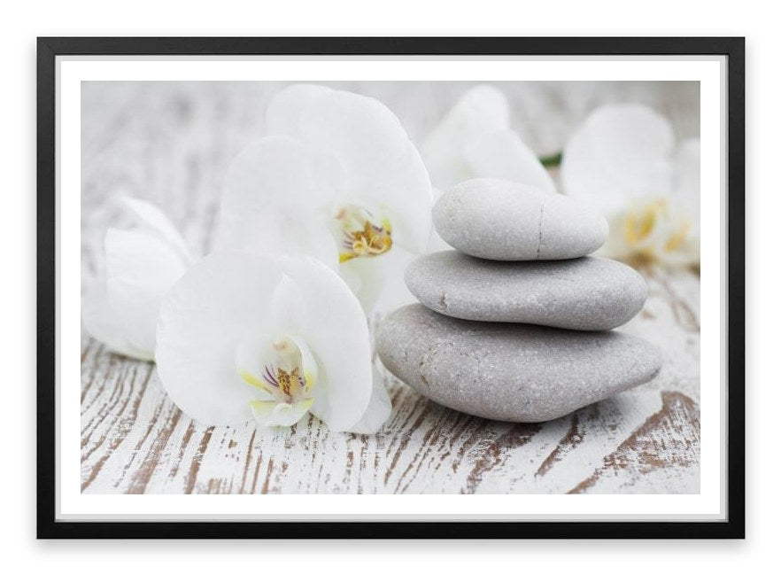 Purity